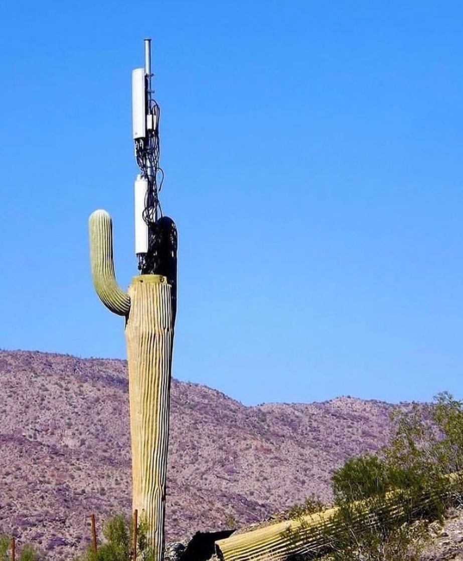 Bu Hangi Kıyamet Ki Yaklaşmakta- Transhümanizm 101